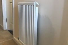 Radiator Cover Before